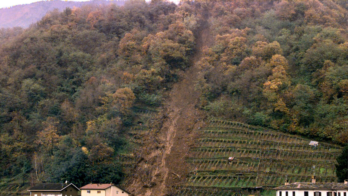 Cataeggio In Stato D27Allerta3A