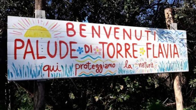 Cerveteri3A Avviso Per La Consu