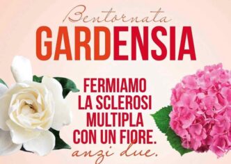 Cerveteri Celebra La Solidarie
