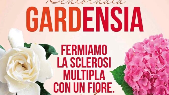 Cerveteri Celebra La Solidarie