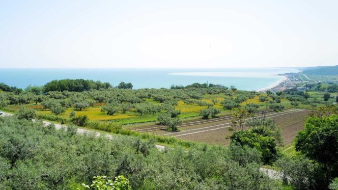 Chieti3A Agricoltori Abruzzesi
