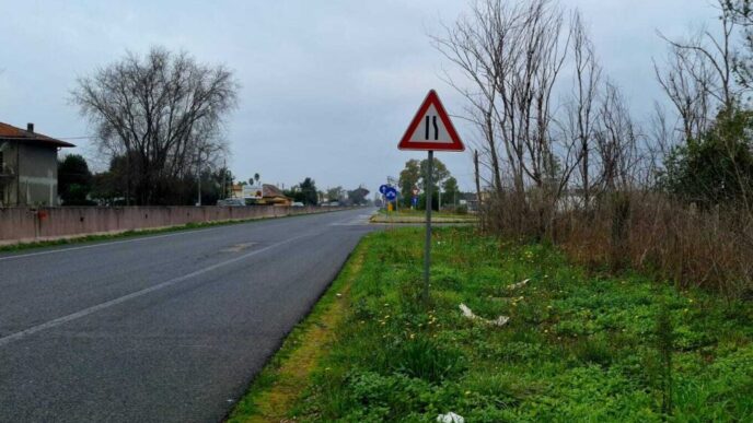 Contributo Regionale Di 197.00