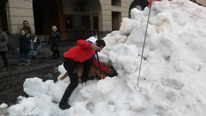 Corso Nazionale Di Unitc3A0 Cinof