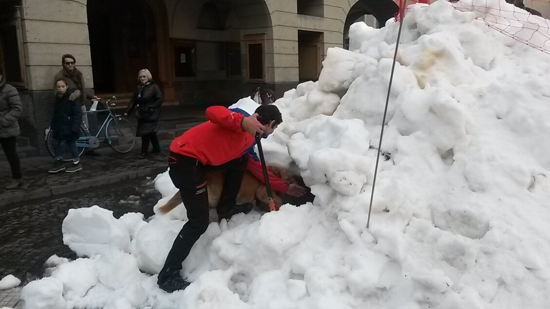 Corso Nazionale Di Unitc3A0 Cinof
