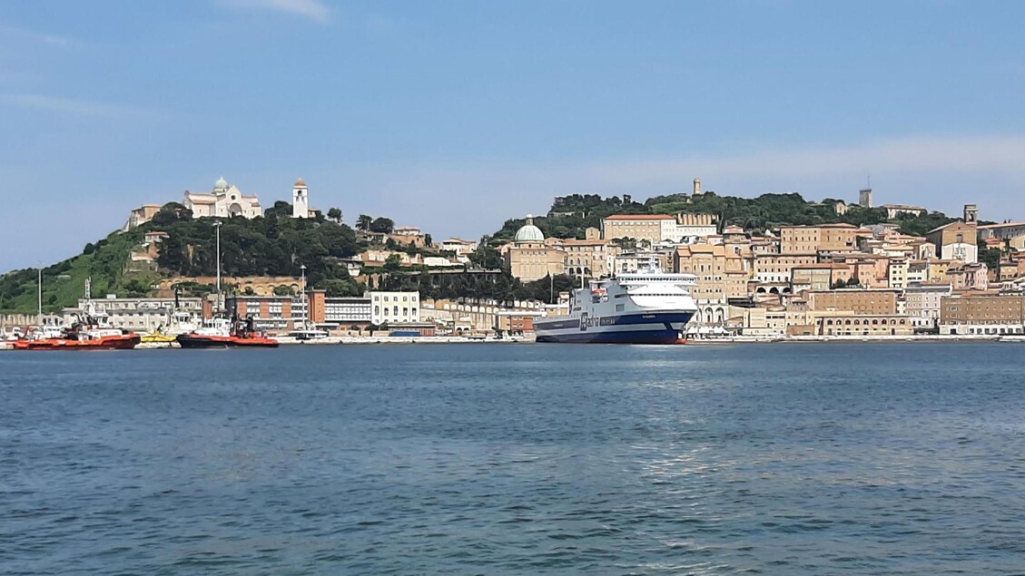 Crescita Del Commercio E Proge