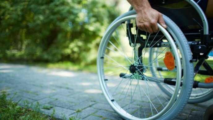Disabilitc3A0 E Servizi Socio Ass