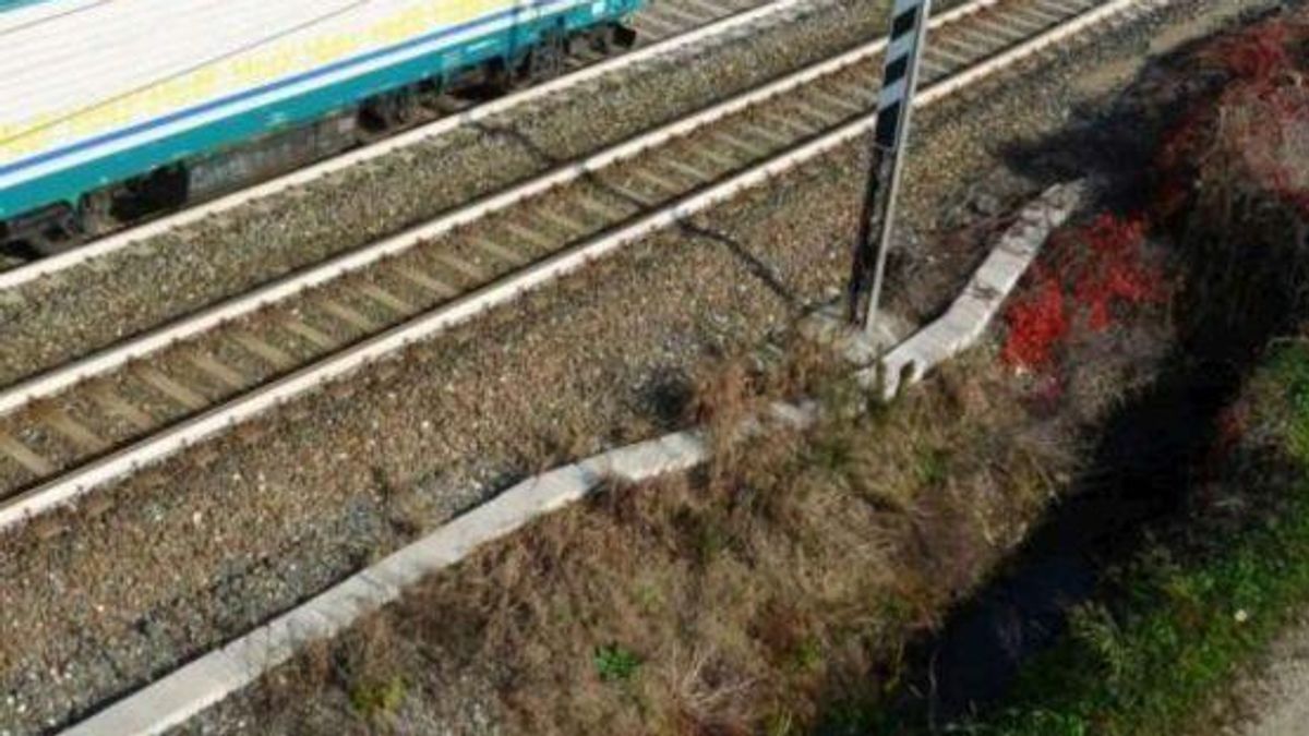 Disagi Sulla Linea Bologna Anc