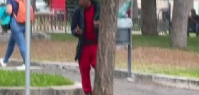 Dominicano Aggressivo A Avezza