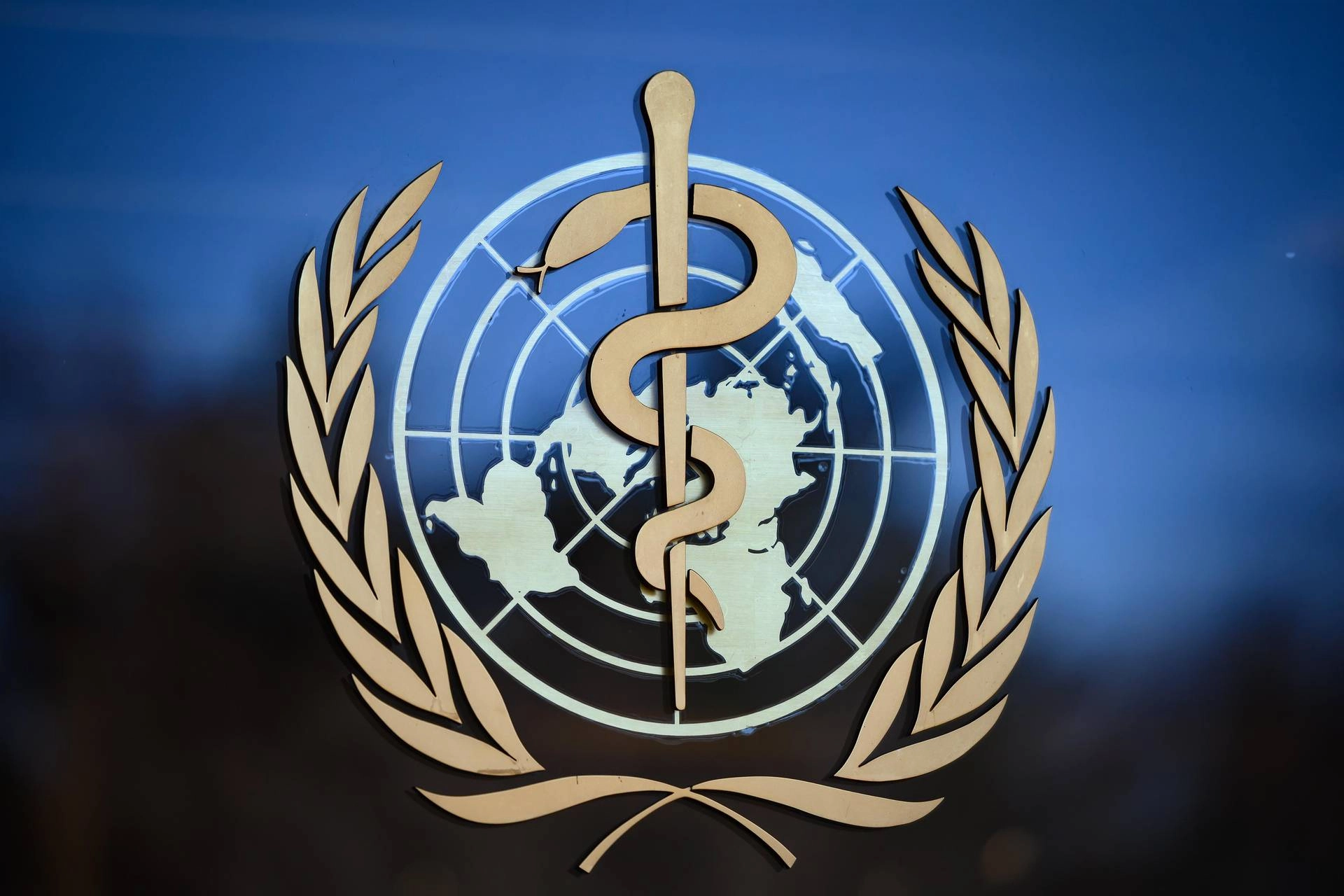 Epidemia Di Morbillo Negli Sta