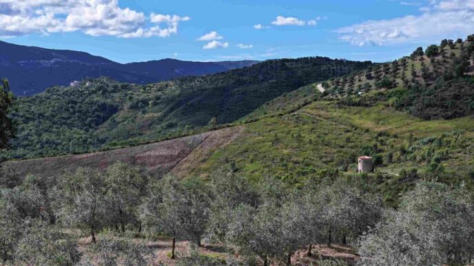 Fattoria Ambrosio Conquista I