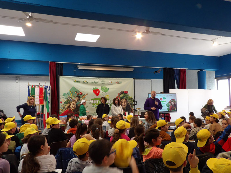 Fruit And Salad School Games 2