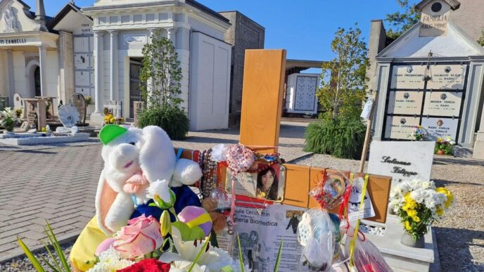Furto Della Foto Di Giulia Cec