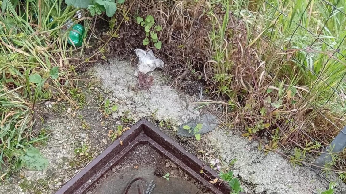 Furto Di Cavi Elettrici Torna