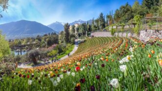 I giardini e i parchi italiani
