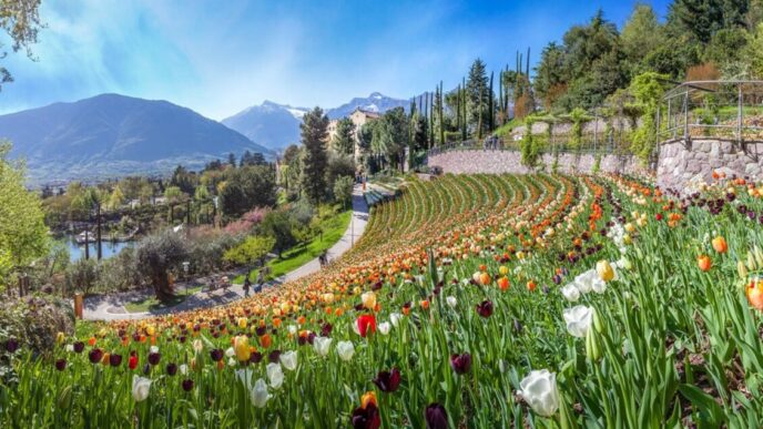I Giardini E I Parchi Italiani