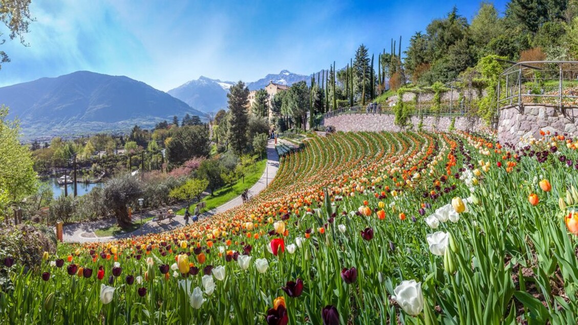 I giardini e i parchi italiani