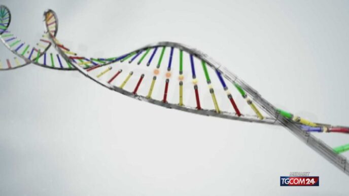 Il Dna Riapre Il Caso Dell27Omi
