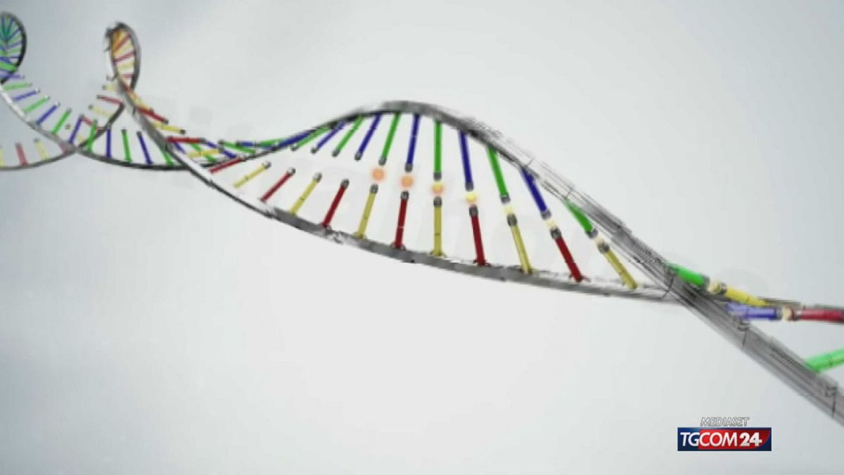 Il Dna Riapre Il Caso Dell27Omi