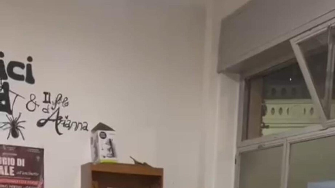 Il Balletto Delle Nonne Di Ost