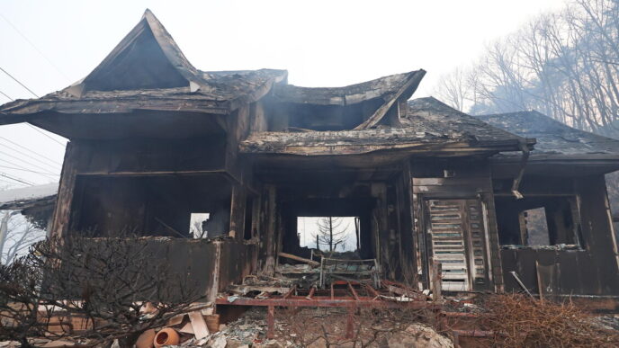 Incendi Devastanti In Corea De