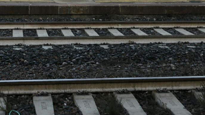 Incidente Ferroviario A Serra 1