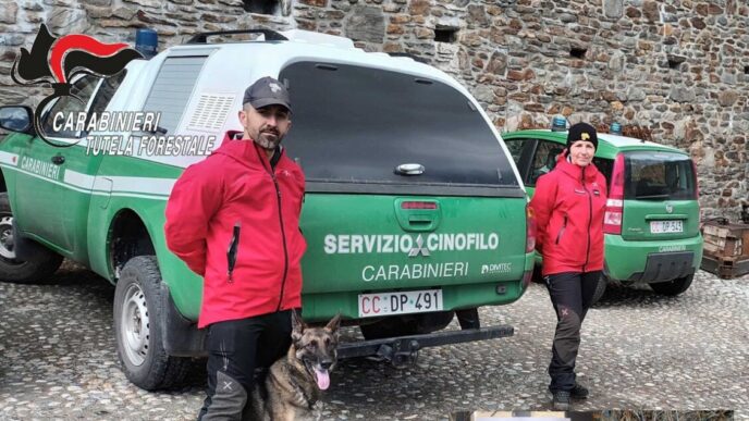 Intervento Dei Carabinieri For