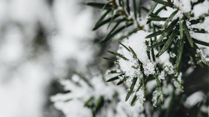 Inverno Sorprende L27Italia Con