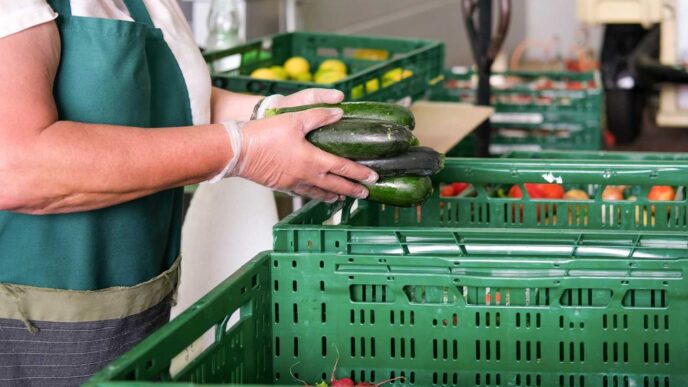 Investimenti In Agricoltura3A L