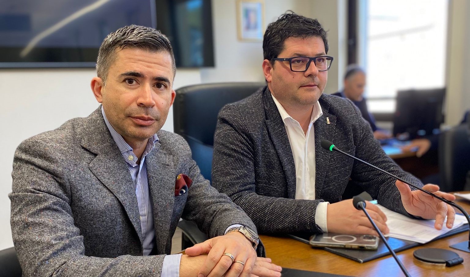 Ispezione Della Commissione Vi
