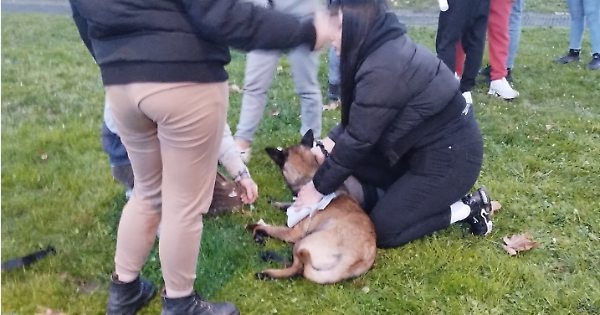 Ivrea2C Corso Nigra3A la violenz