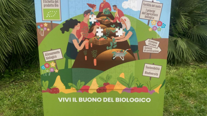 L27Alberghiero Di Ladispoli Tri