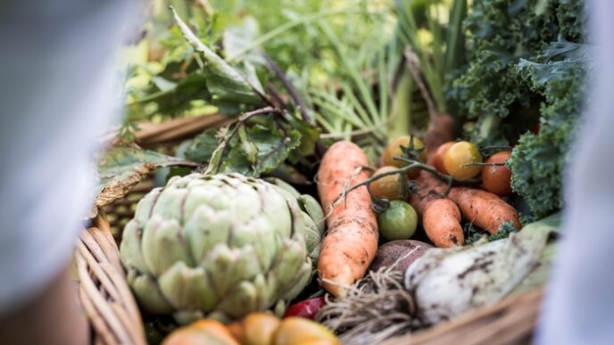 La Cucina Sostenibile E Creati