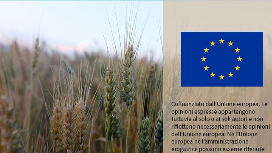 La Nuova Pac3A Opportunitc3A0 E Sf