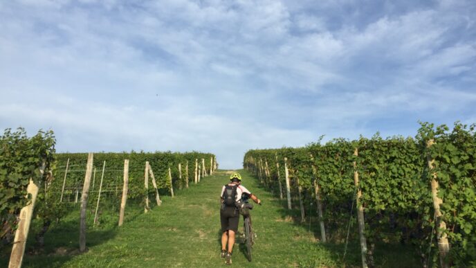 Langaride3A Una Pasquetta Itine