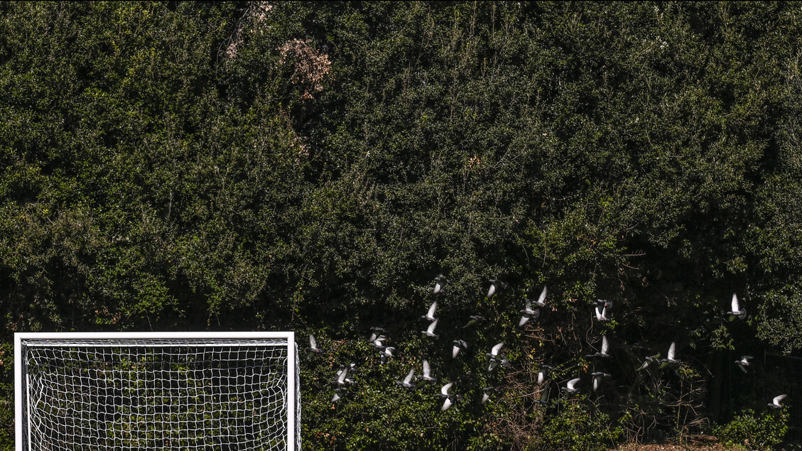 Merlara Abbandona La Partita I