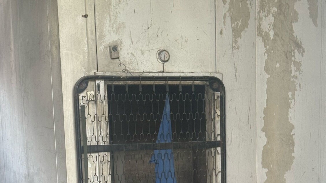 Napoli2C Scoperto Cane Abbandon