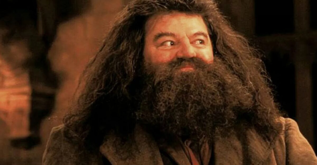 Nick Frost Nel Ruolo Di Hagrid