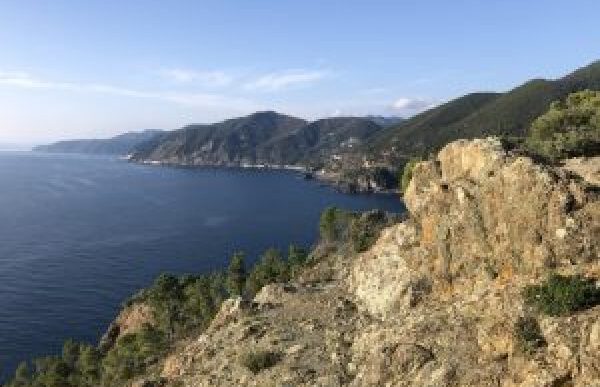 Nuova Formazione Per Accompagn
