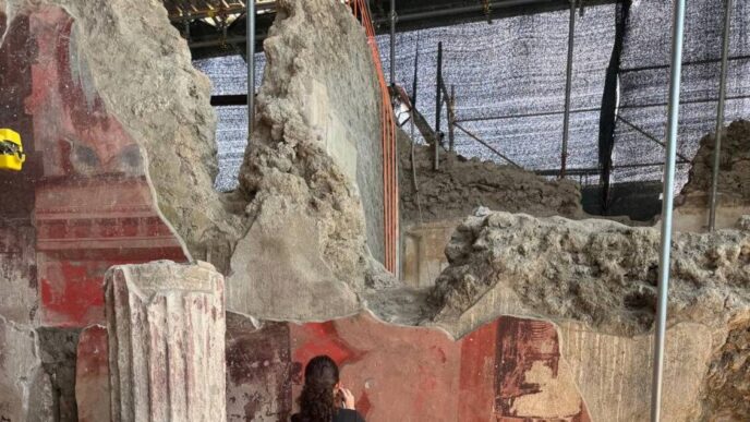 Nuova Luce Sui Pigmenti Pompei