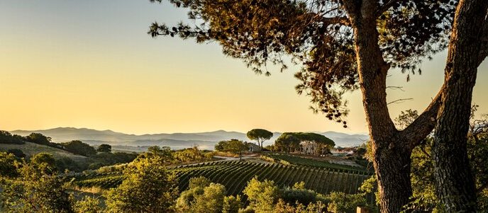 Nuove Frontiere Del Vino3A Tenu