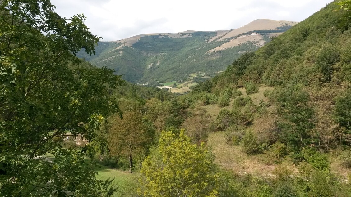 Nuovi Strumenti Per La Formazi