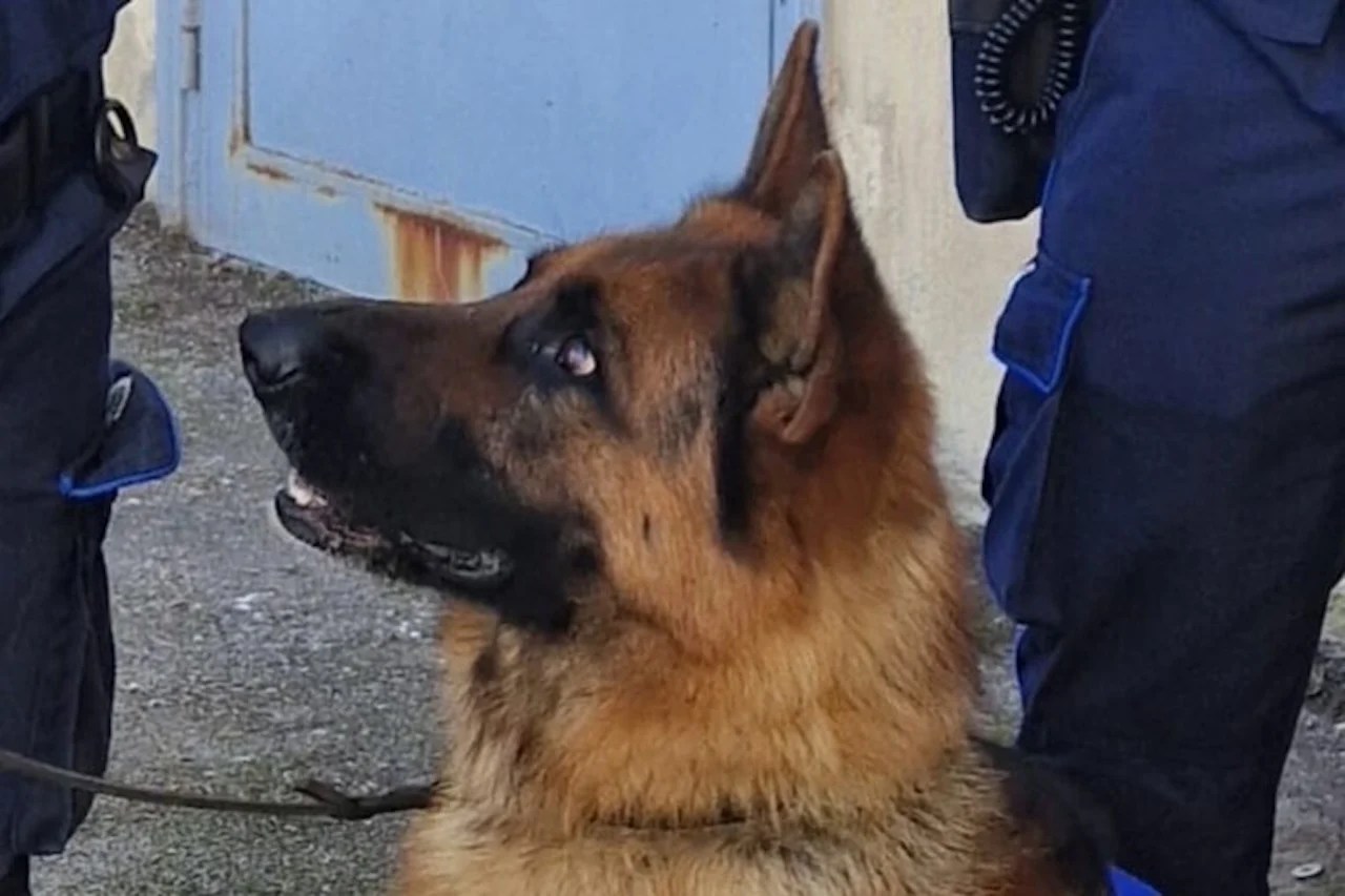 Operazione Antidroga Al Carcer