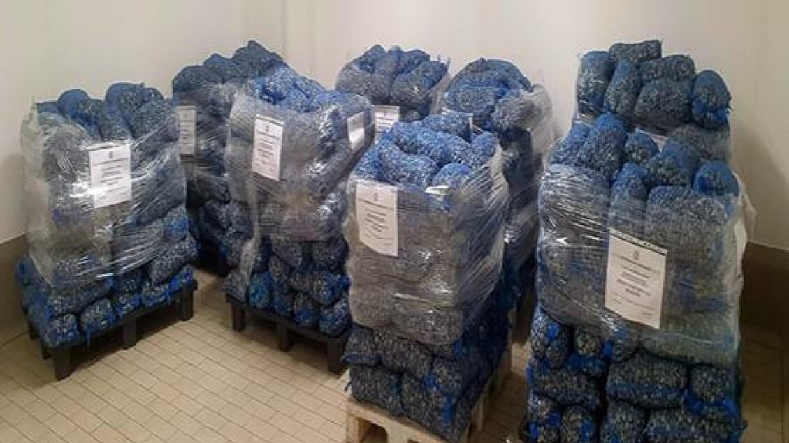 Operazione Della Guardia Costi