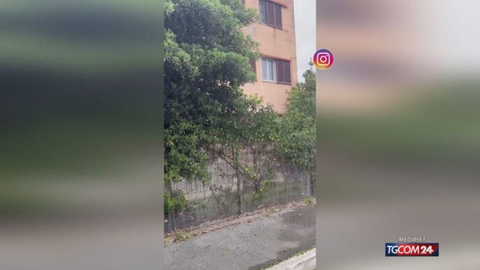 Orbetello Lotta Contro Le28099Invas