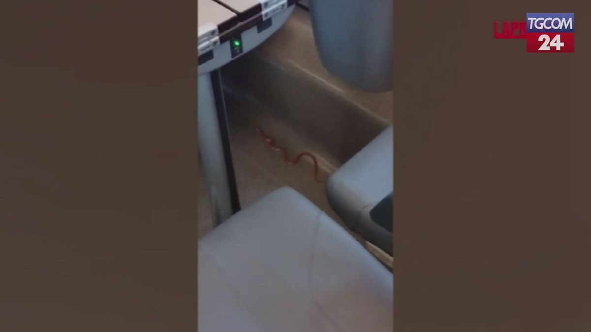 Paura A Bordo3A Evacuato Treno