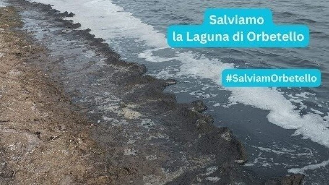 Petizione Per Dichiarare Stato