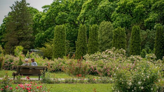 Primavera 20253A Come Sfruttare