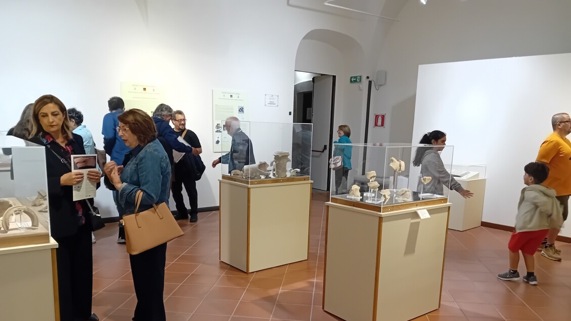 Proroga Della Mostra 22Dallo Io