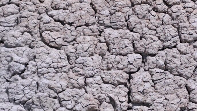 Proroga Dello Stato Di Emergen