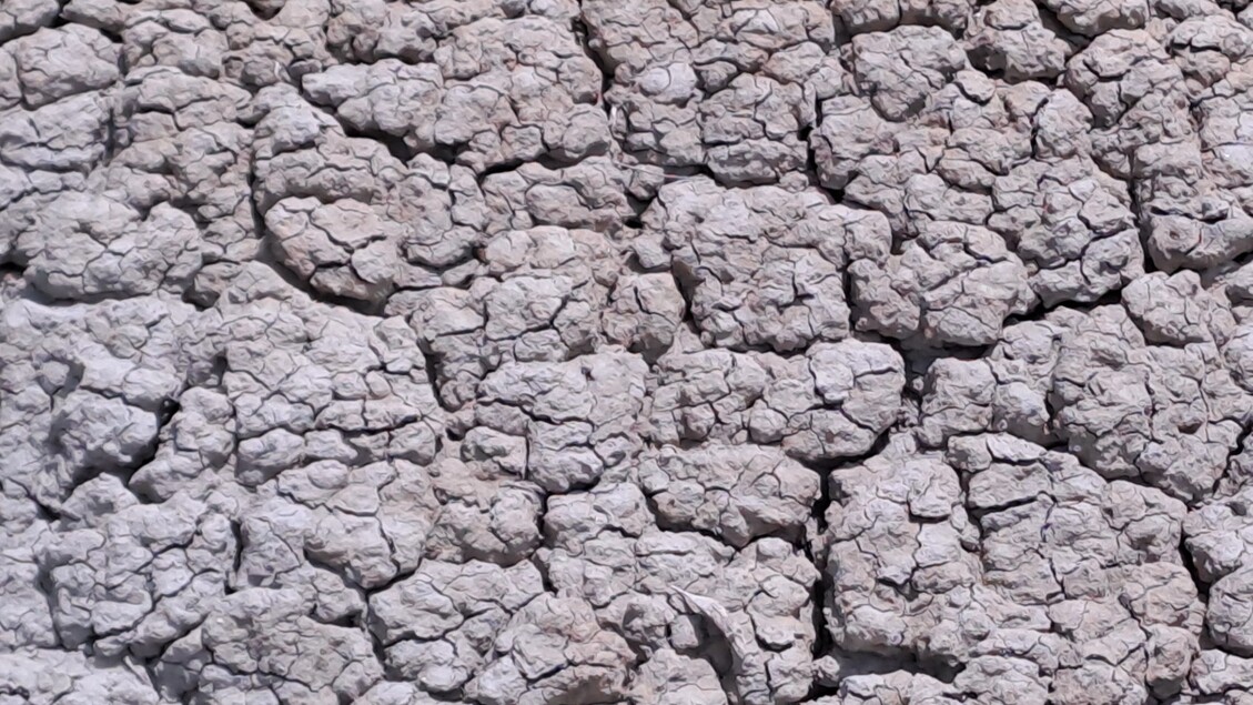 Proroga Dello Stato Di Emergen